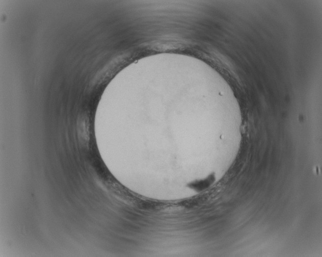 X0000067520210200605051903