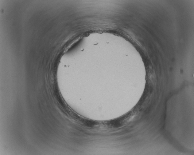 X0000067520211200605051903