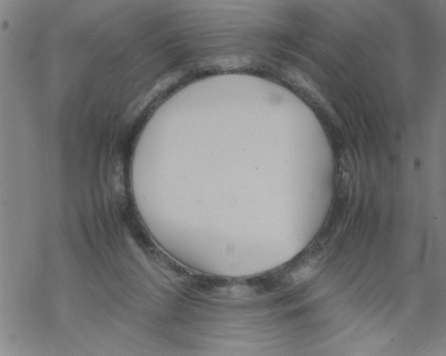 X0000067520212200605051903