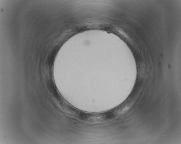 X0000067520213200605051903