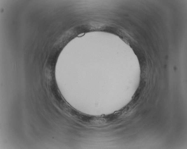 X0000067520215200605051903