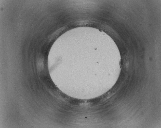 X0000067520216200605051903