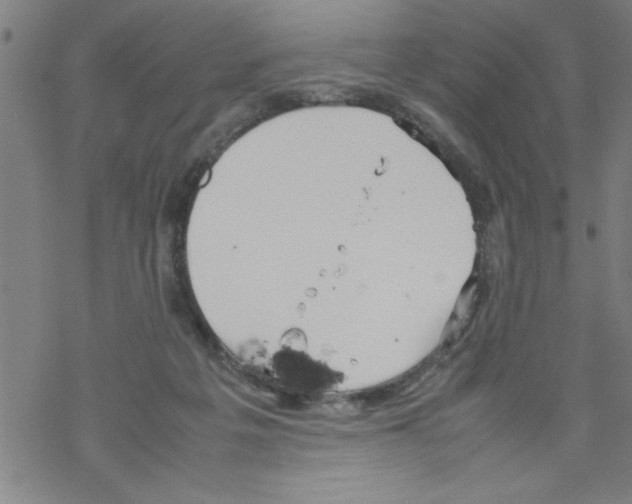 X0000067520217200605051903