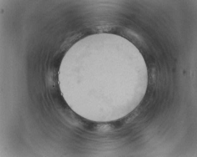 X0000067520218200605051903