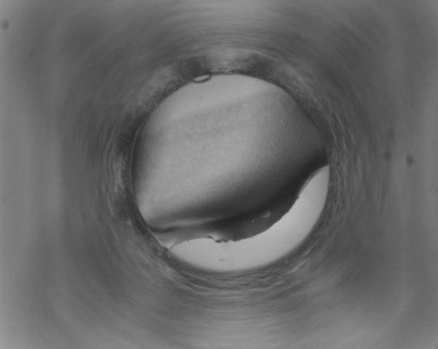 X0000067520219200605051903