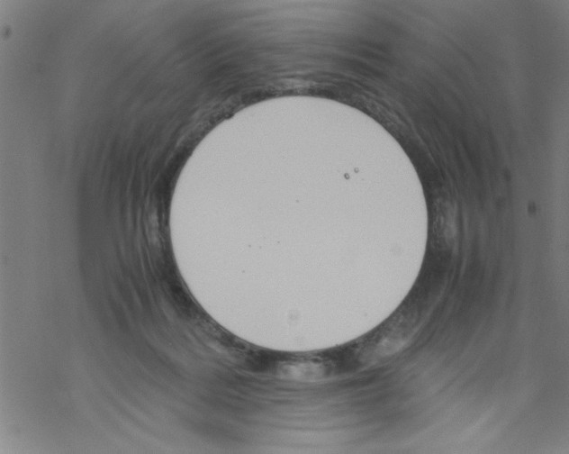 X0000067520220200605051903