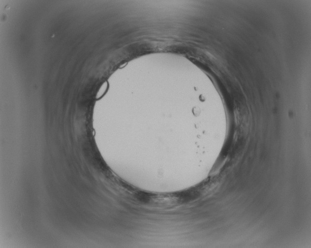 X0000067520221200605051903