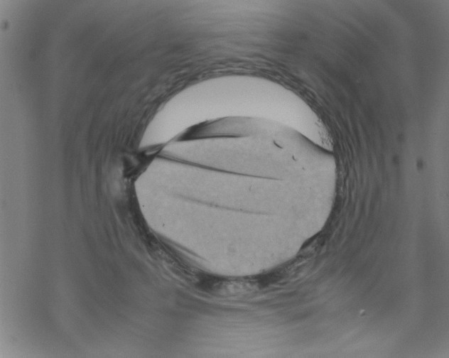 X0000067520223200605051902