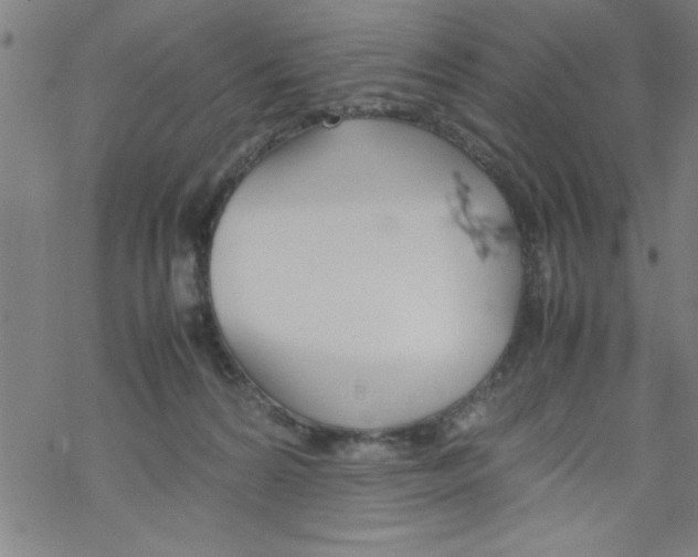 X0000067520224200605051902