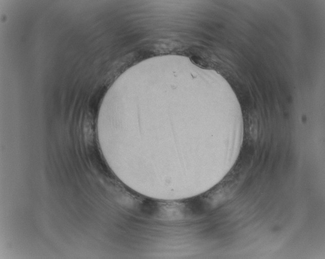 X0000067520226200605051902