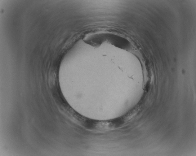 X0000067520227200605051902