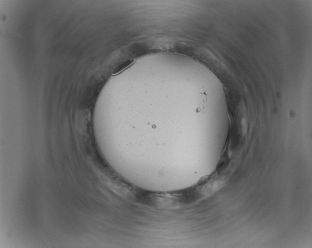 X0000067520229200605051902