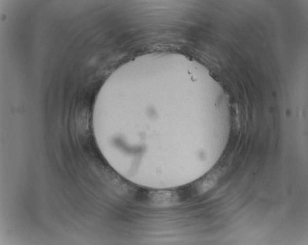 X0000067520230200605051902