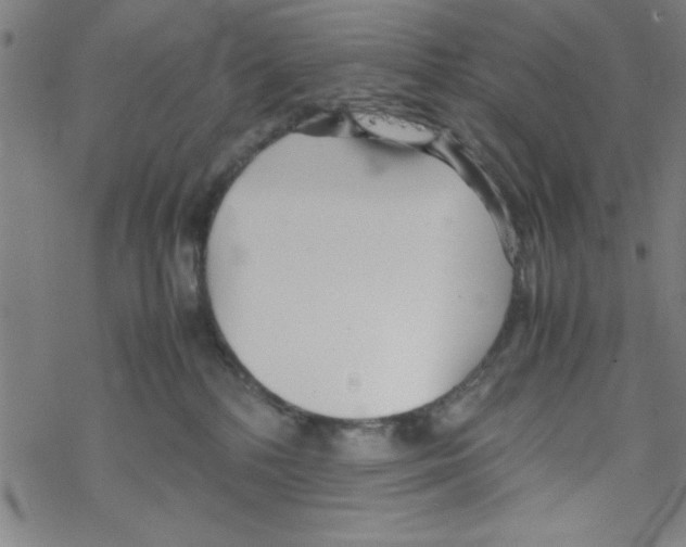 X0000067520232200605051902