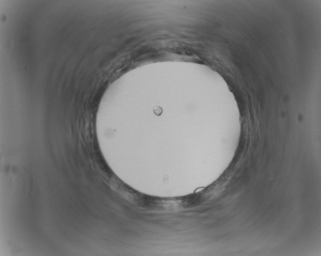 X0000067520233200605051902