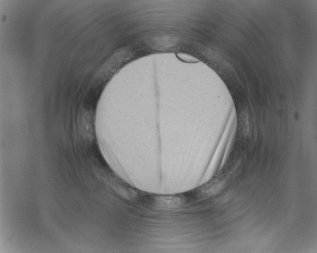 X0000067520234200605051902