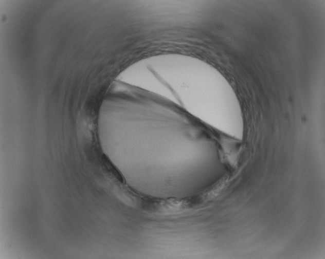 X0000067520235200605051902