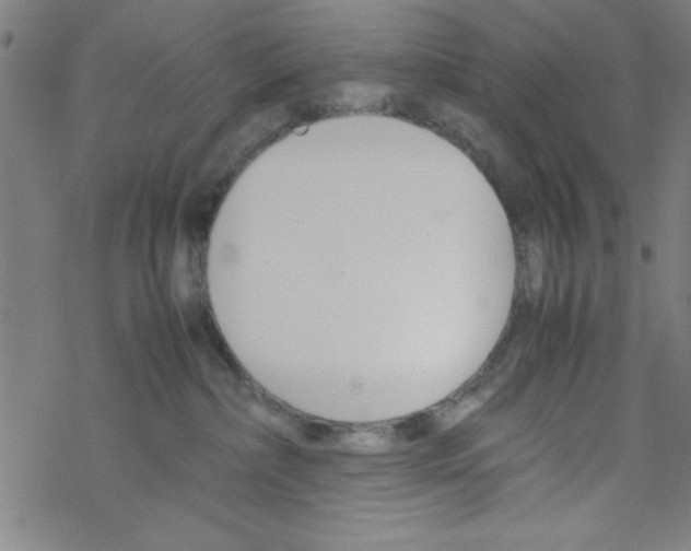 X0000067520236200605051902