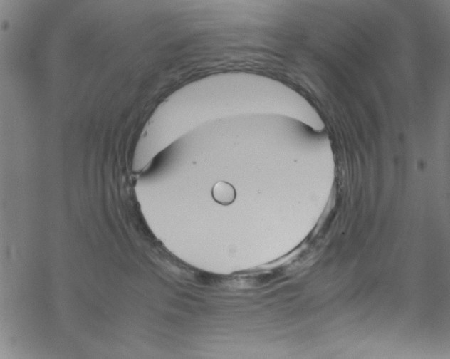 X0000067520237200605051902