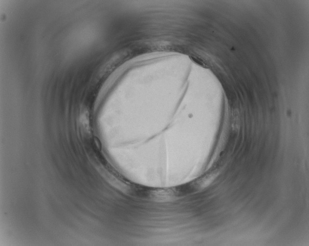 X0000067520238200605051902