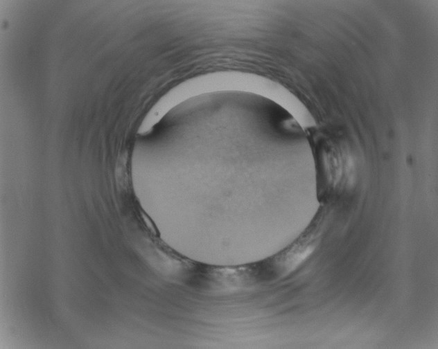 X0000067520239200605051902