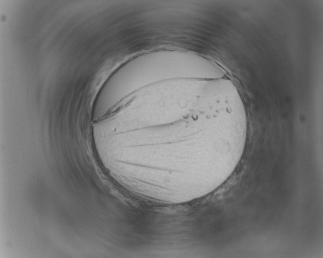 X0000067520241200605051901