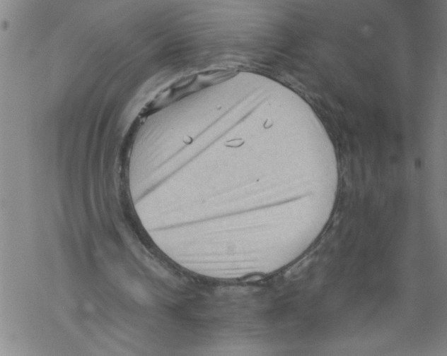 X0000067520242200605051901