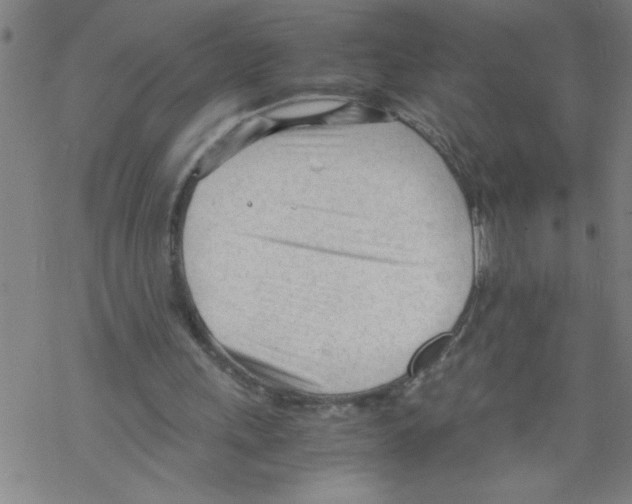 X0000067520243200605051901