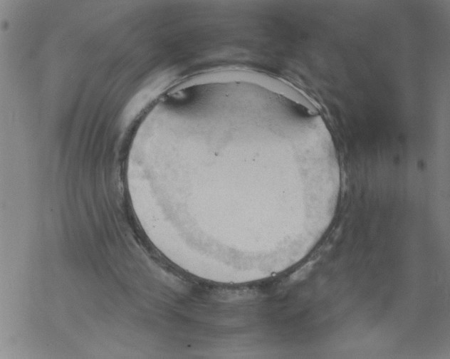 X0000067520245200605051901