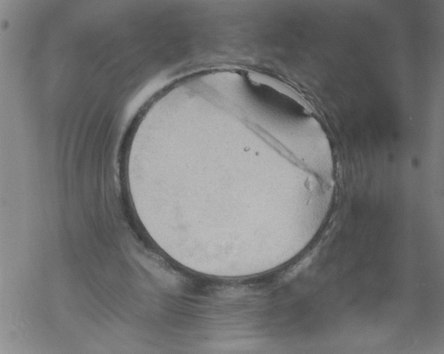 X0000067520246200605051902