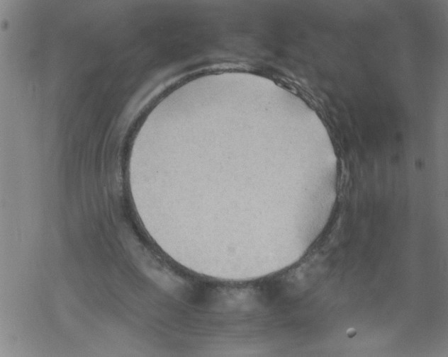 X0000067520247200605051902