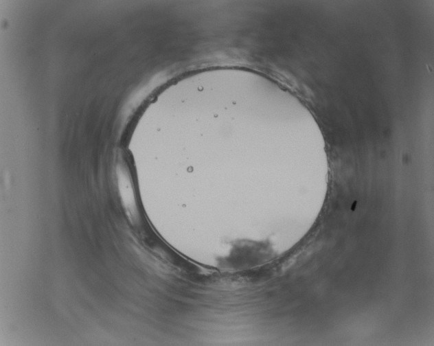 X0000067520248200605051902