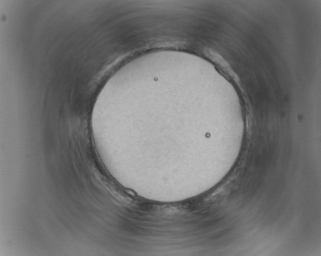 X0000067520249200605051902