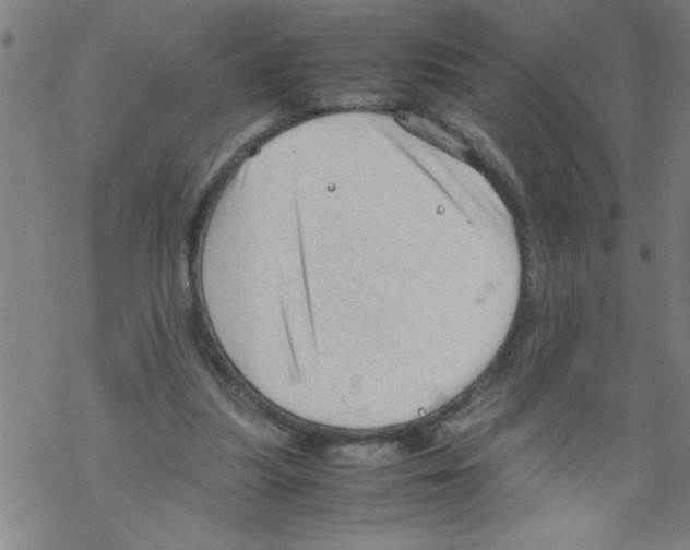 X0000067520251200605051902