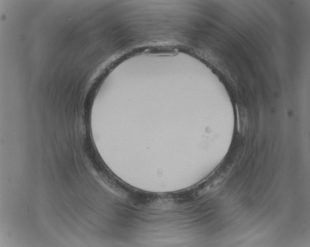 X0000067520252200605051902