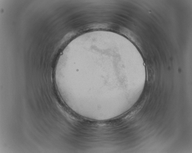 X0000067520253200605051902