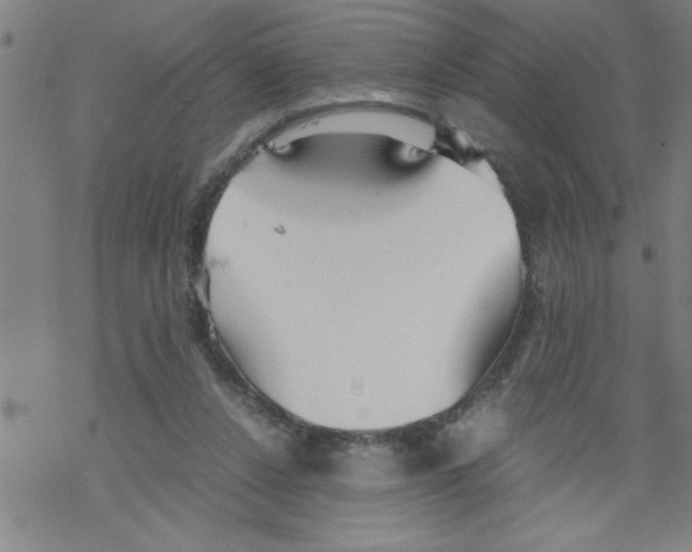 X0000067520256200605051902