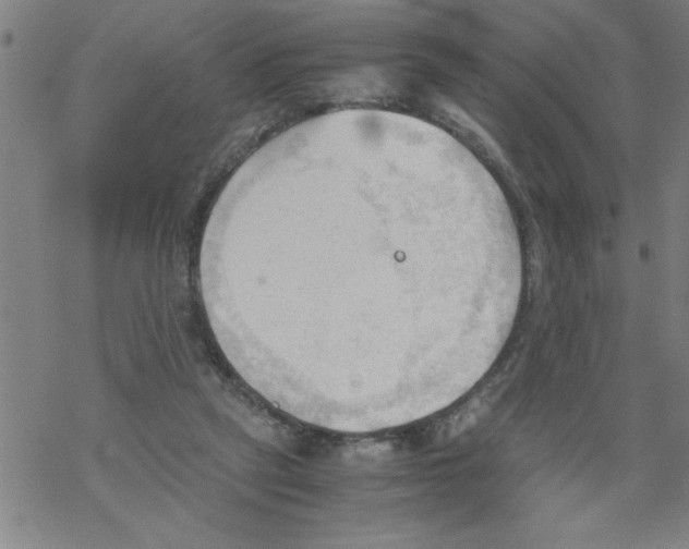 X0000067520257200605051902