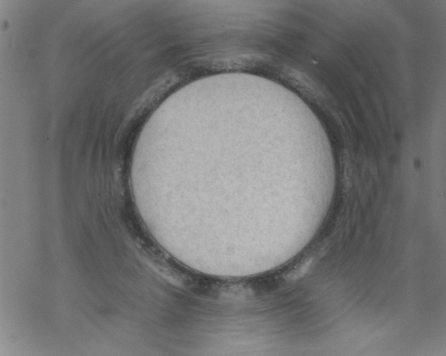 X0000067520258200605051902