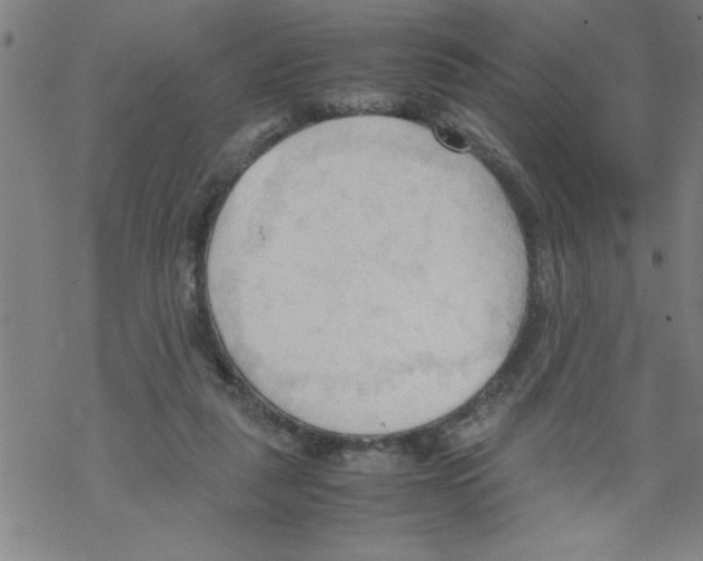 X0000067520259200605051902