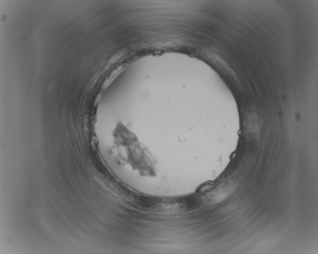 X0000067520260200605051902