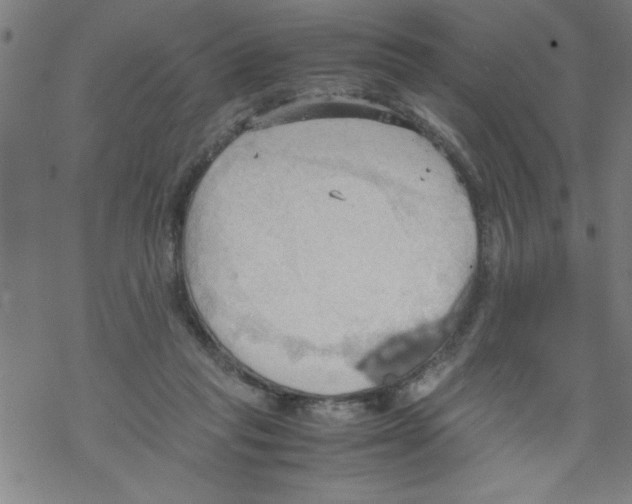 X0000067520261200605051902