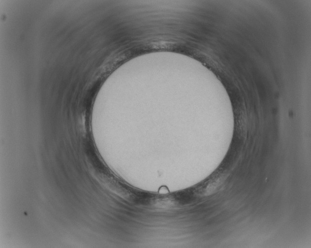 X0000067520262200605051902