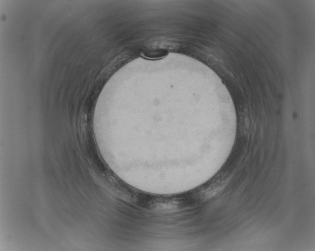 X0000067520263200605051902