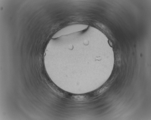 X0000067520265200605051902