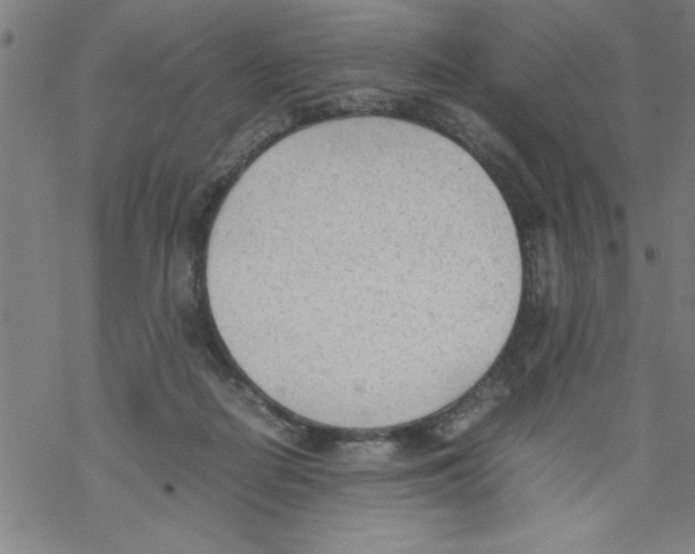 X0000067520266200605051902