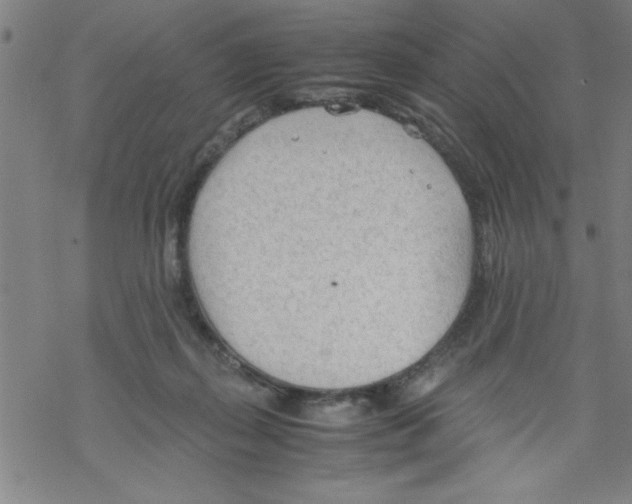 X0000067520267200605051902