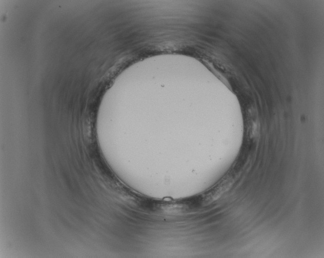 X0000067520268200605051902