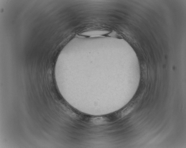 X0000067520269200605051902