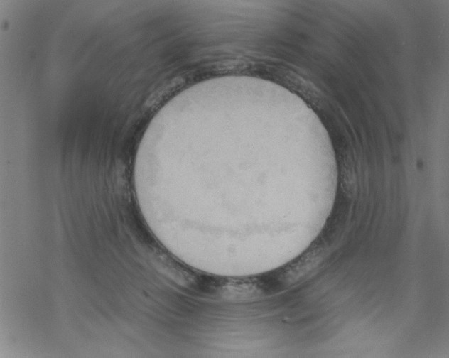 X0000067520270200605051902